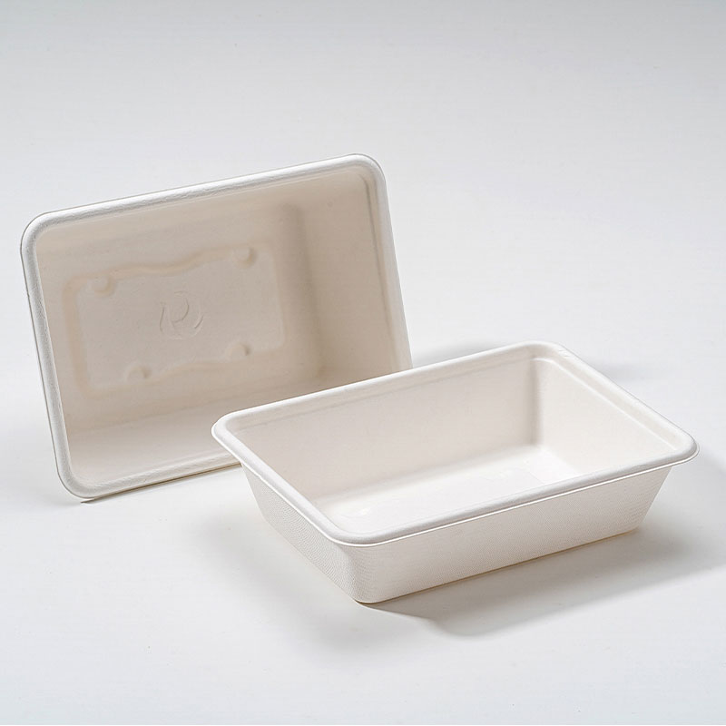 „Bagasse Square Box“